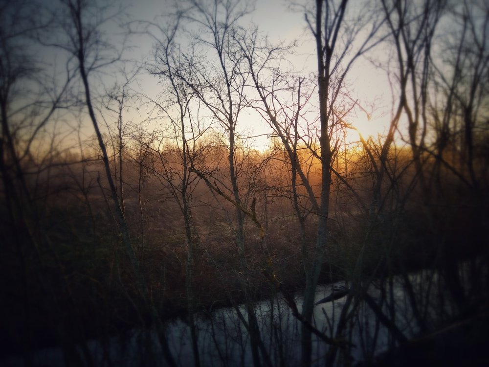 Фотография автора Виктор Конев