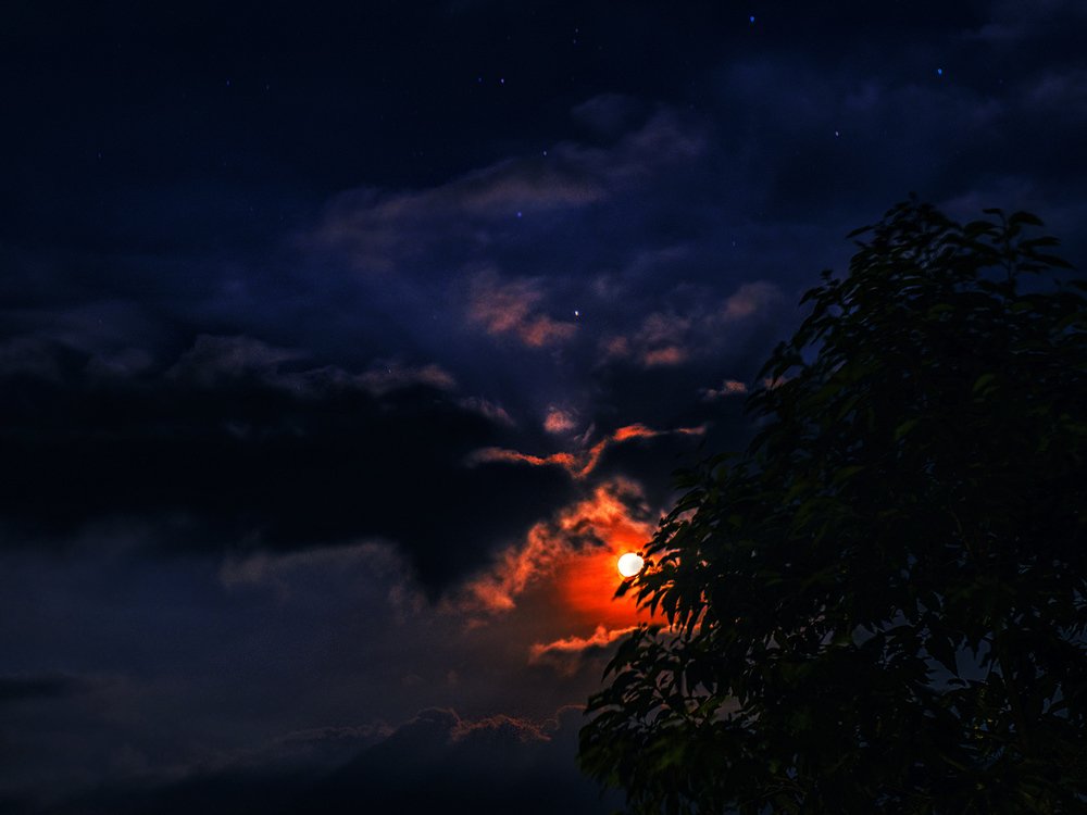 Photograph by Александр Романов