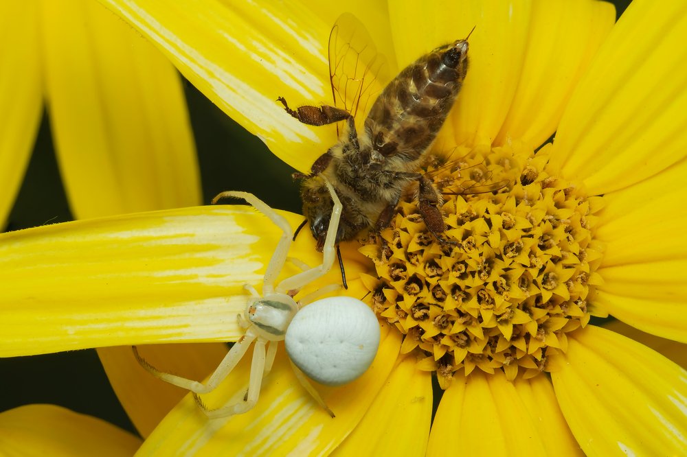 Photograph by Денис Ветренко