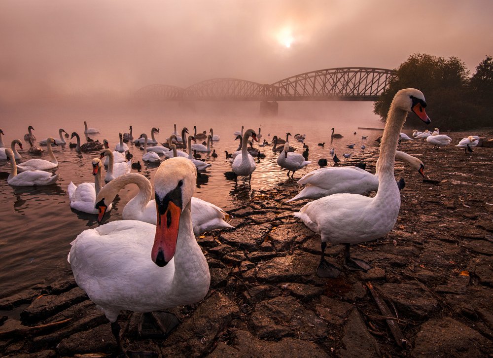 Photograph by peter cech