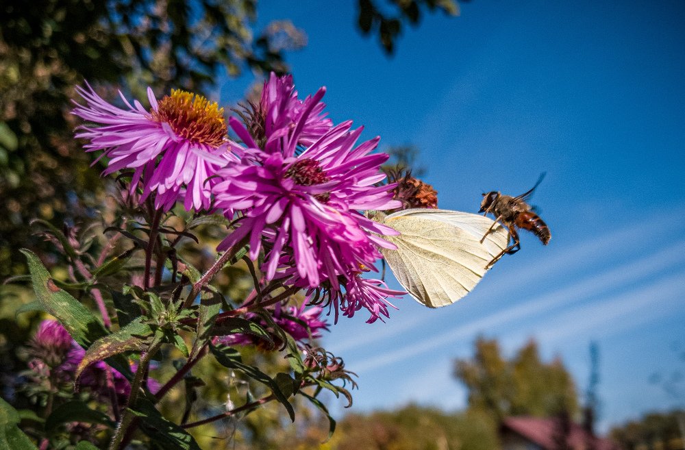 Photograph by СВЕТЛАНА