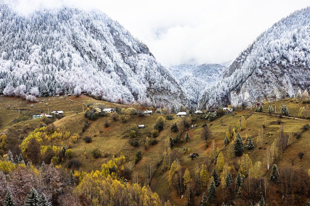 Photograph by Szabo Attila