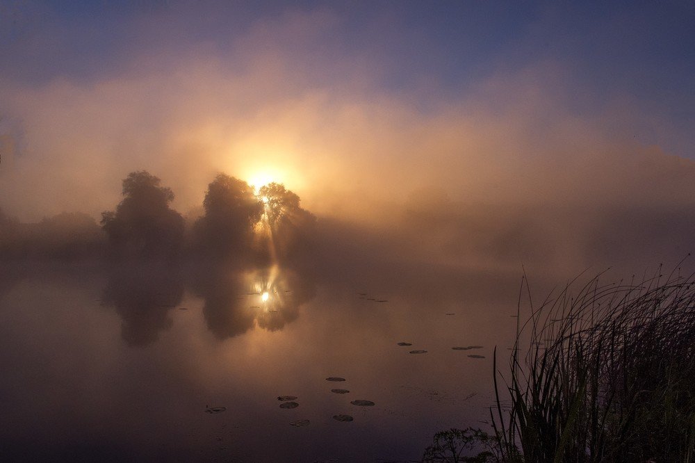 Photograph by Анна Соколова