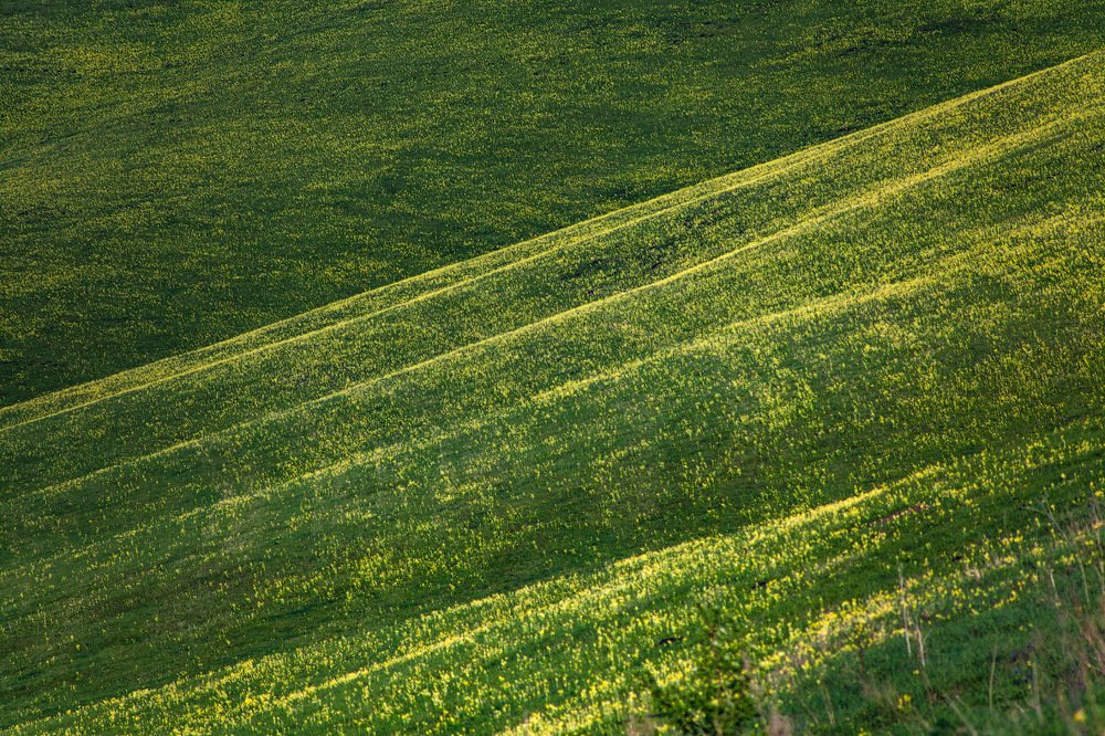 Photograph by Евгения Смолякова