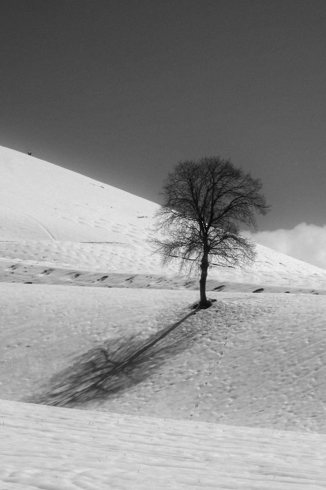 Alone but with shadow