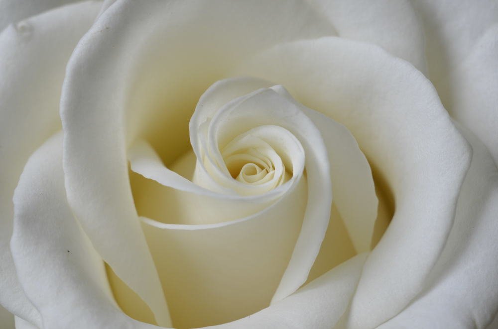 Photograph by Marina