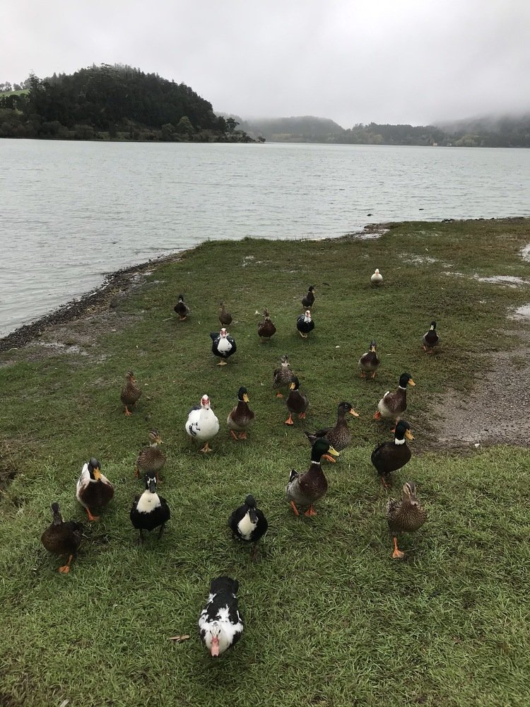 Photograph by Dinar Nigmatullin