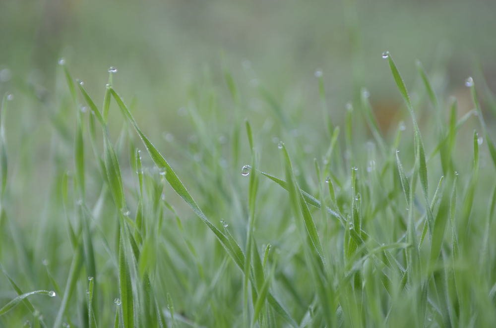 Photograph by Marina