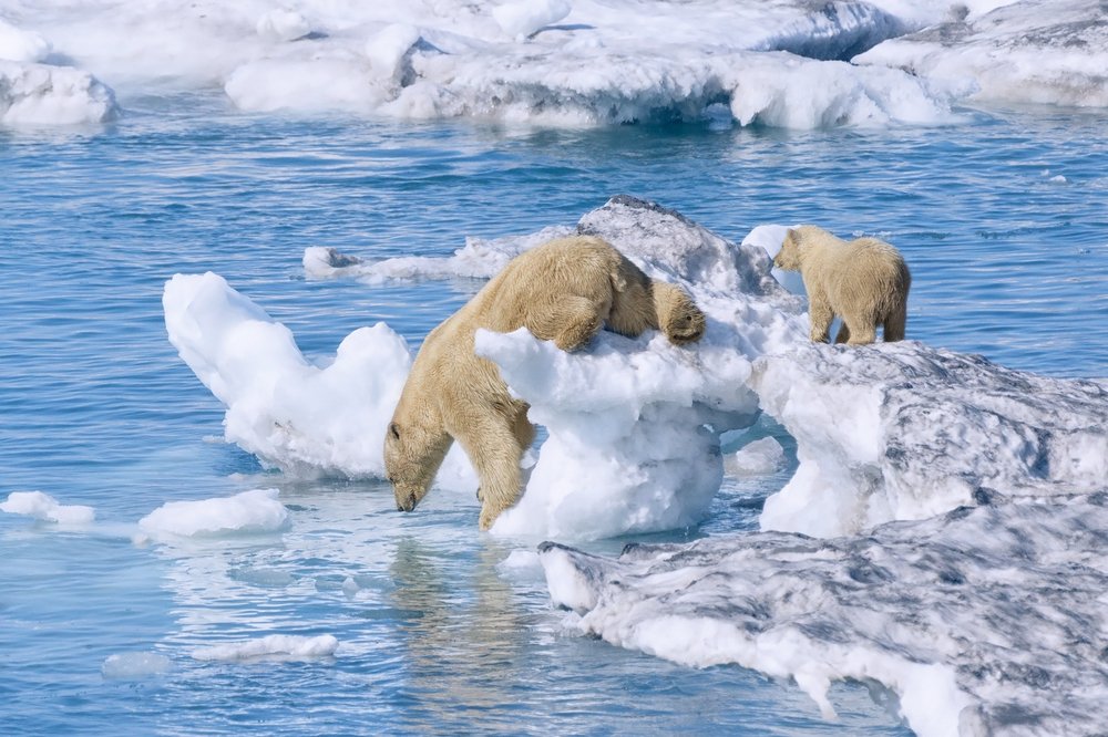 Малыш, за мной!