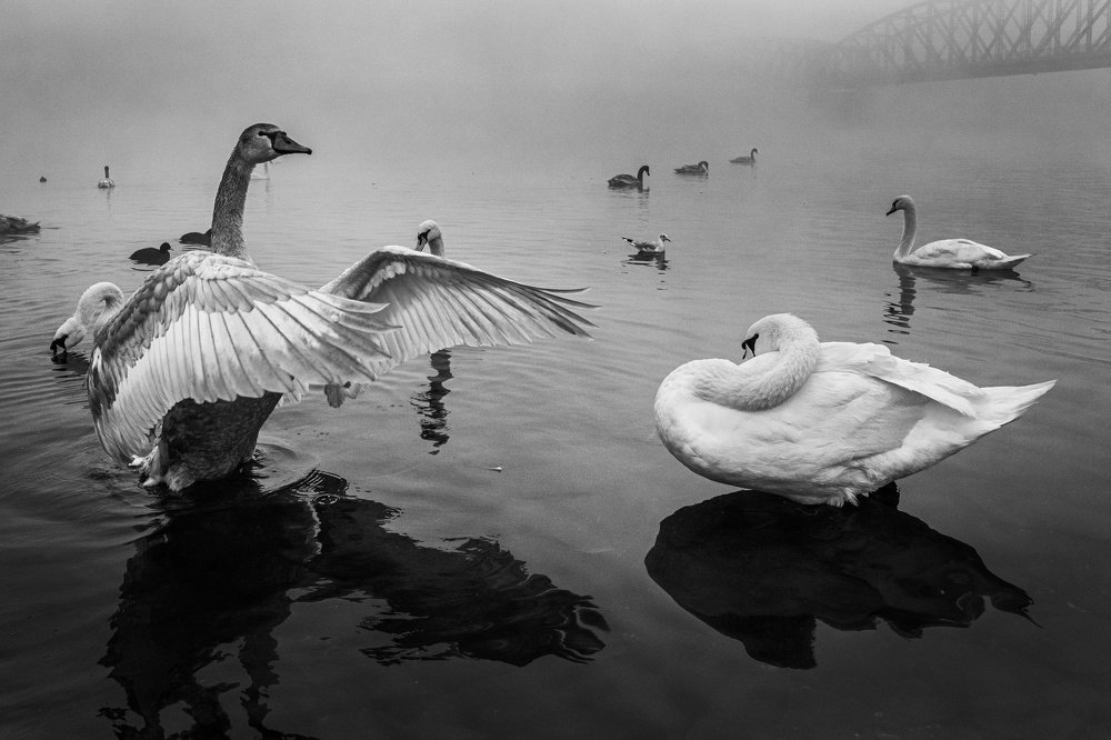 Photograph by peter cech