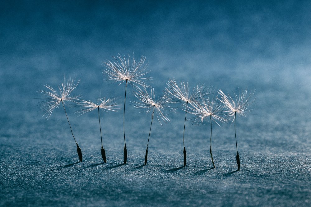 Фотография автора Кирилл Кичатов