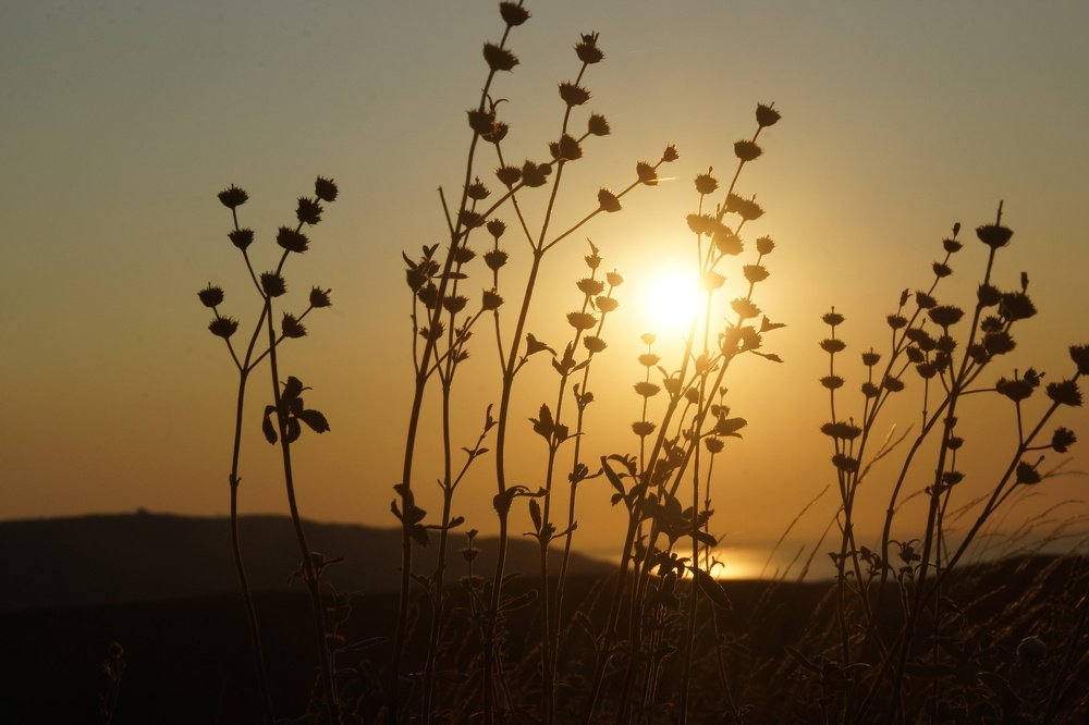 Умиротворение