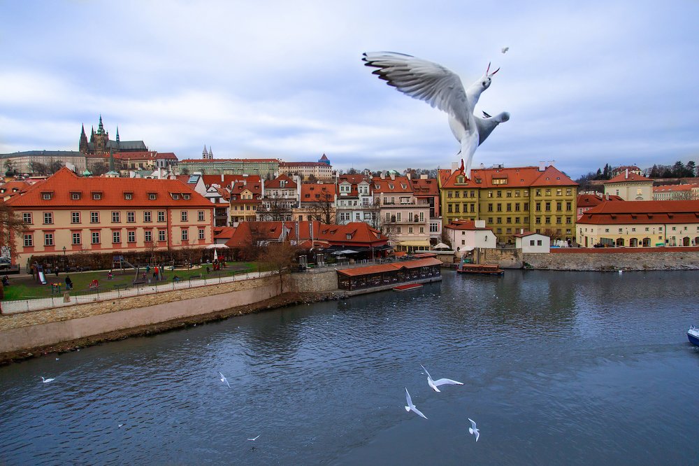 Photograph by Наталья Золотарева