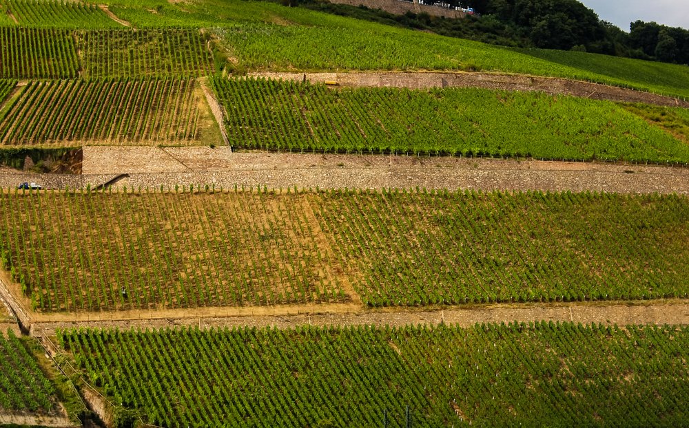 The valey of the Rhine