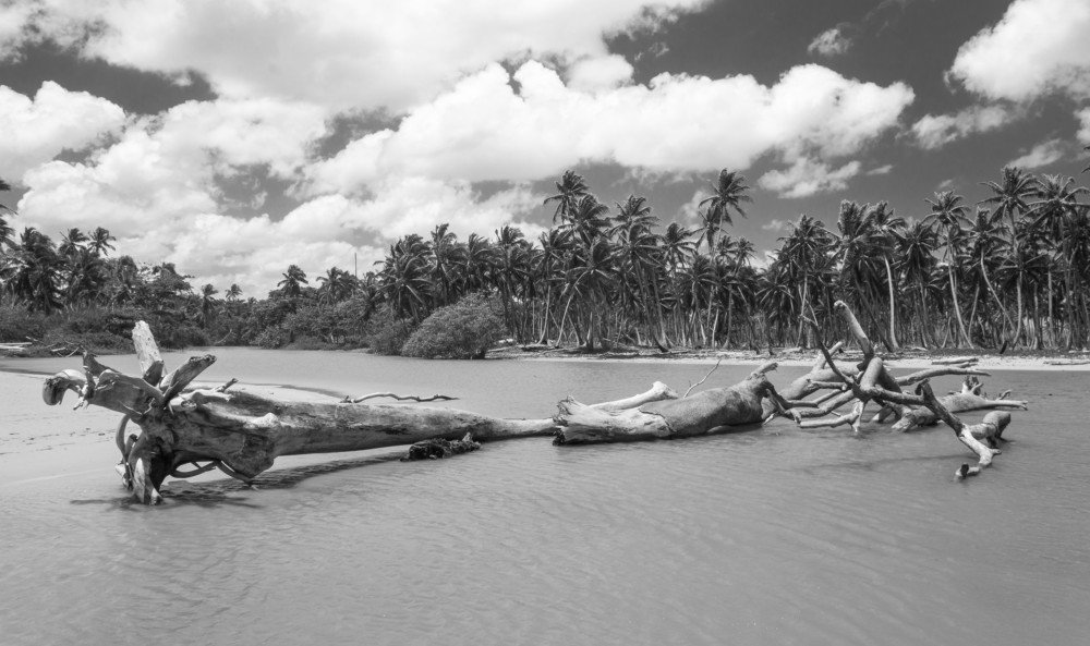 Photograph by Александр Халимов