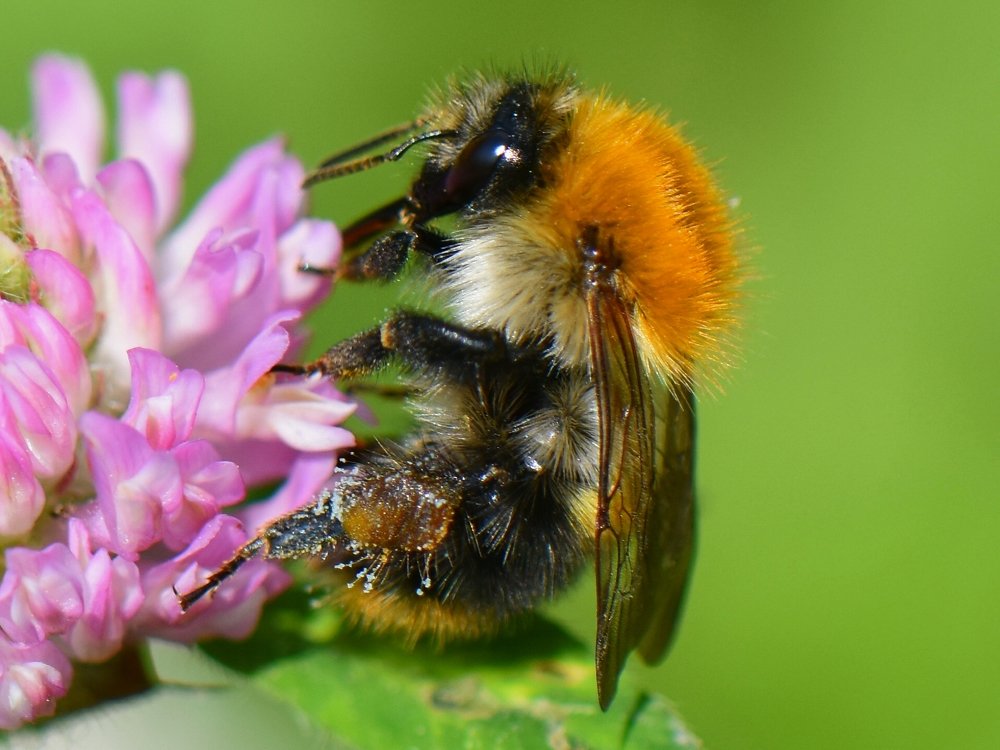 Photograph by Наталья Аржинт