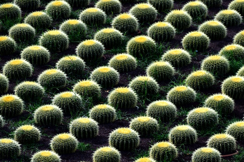 Фотография автора Андрей Симонов