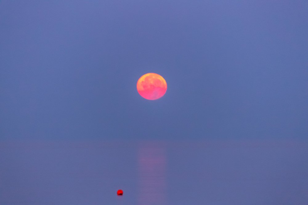 Photograph by Alfia Safuanova