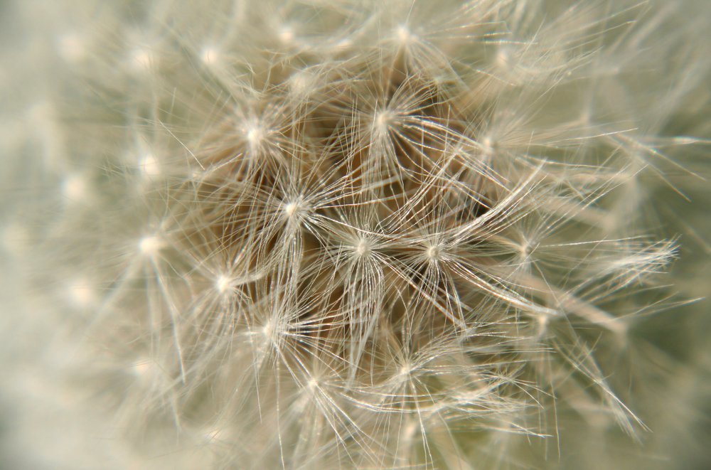 Photograph by Богдан Бигун