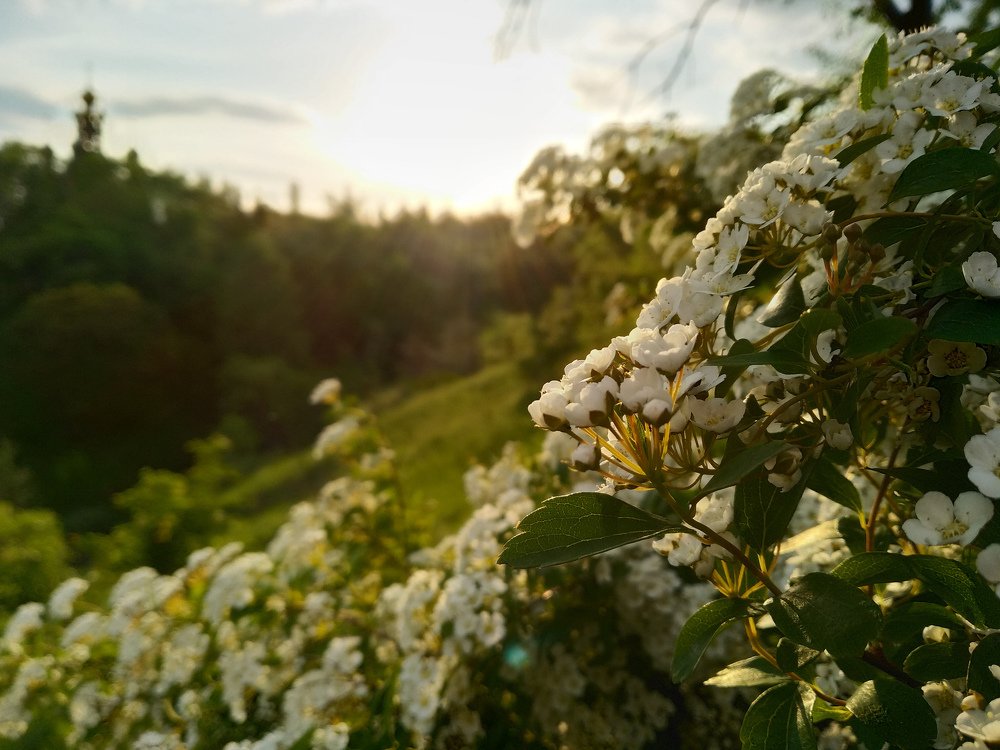 Photograph by Арсений