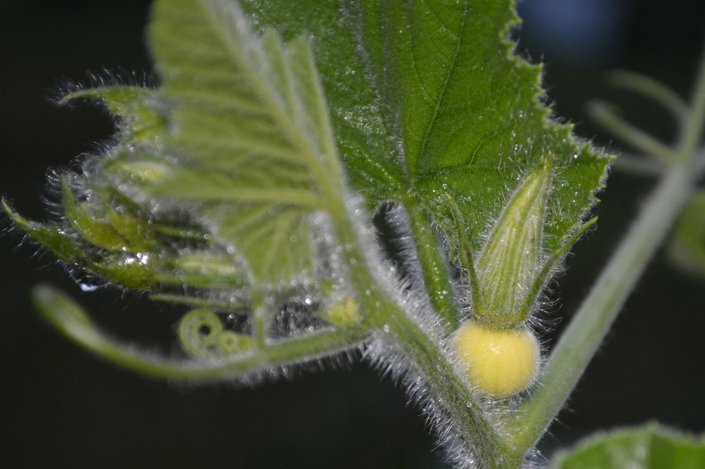 Photograph by Indra Jaunzema