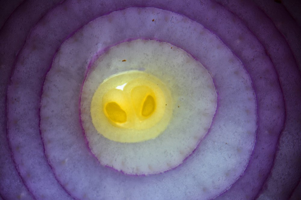 Photograph by Indra Jaunzema