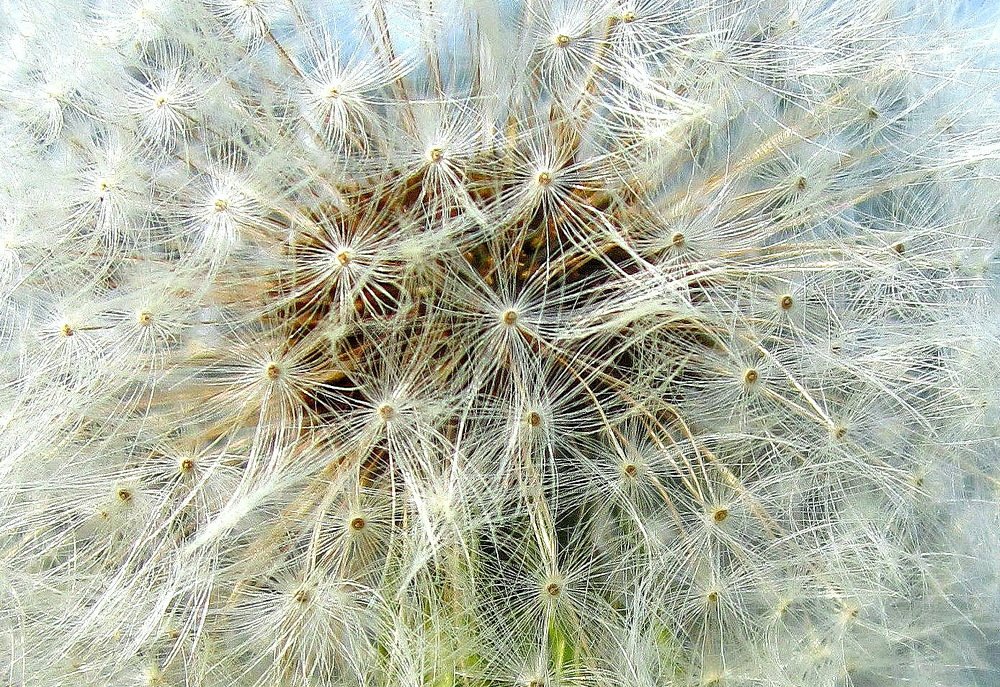 Photograph by НИНА АВЕРЬЯНОВА