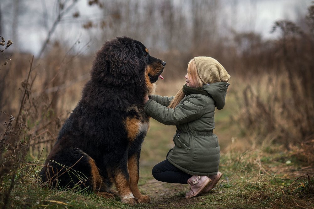Photograph by Светлана Бубнова