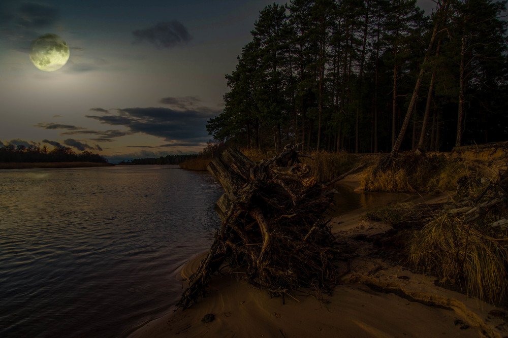 Photograph by Germans Alenins