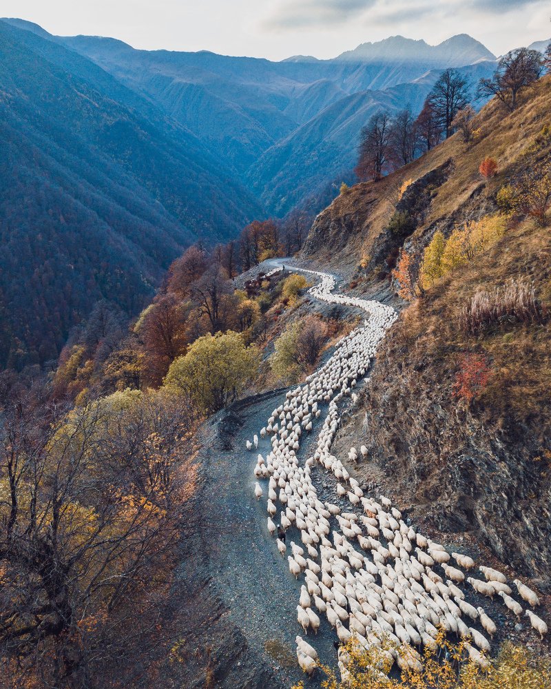 Фотография автора Tony Ivanz