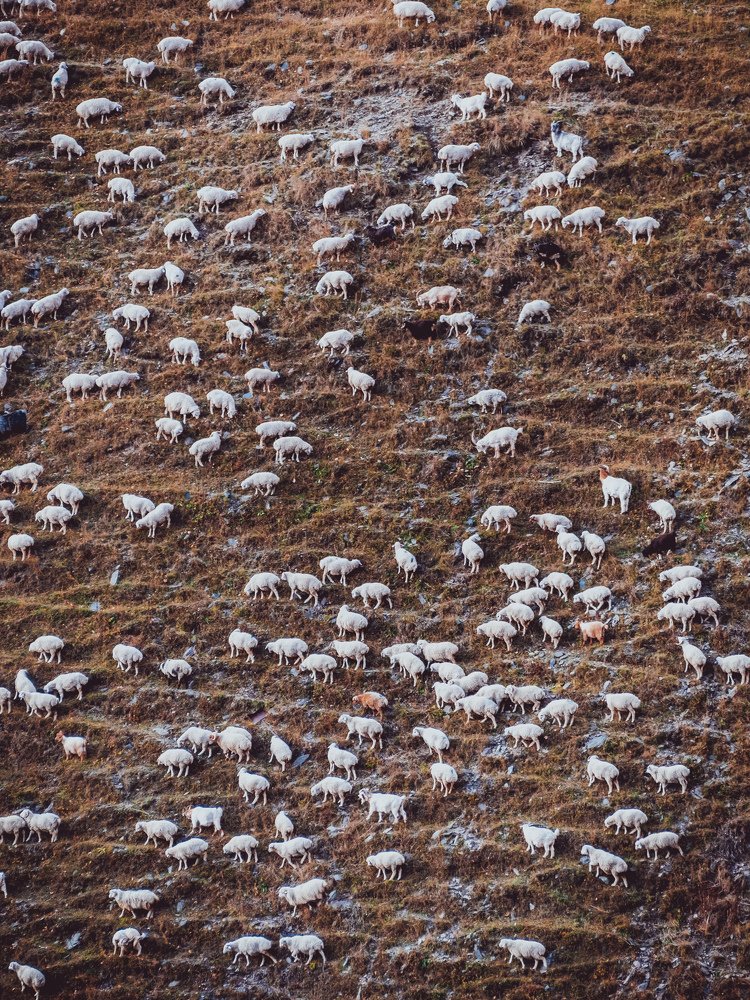 Фотография автора Tony Ivanz