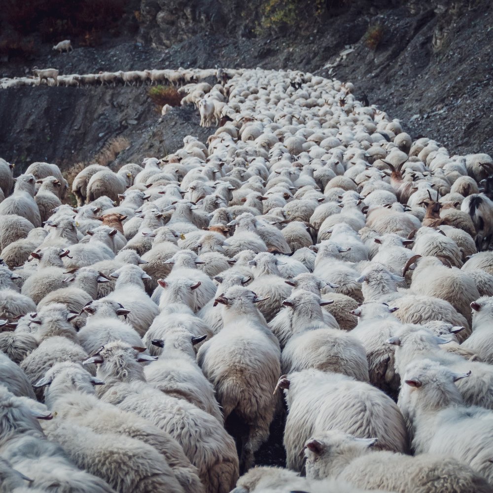 Фотография автора Tony Ivanz