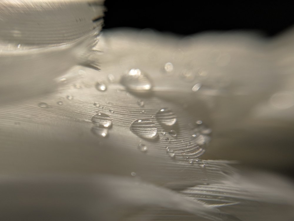 Photograph by Зайнаб Шукурова