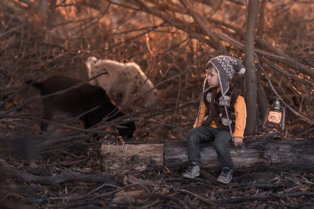 Photograph by Анна Ромашкина