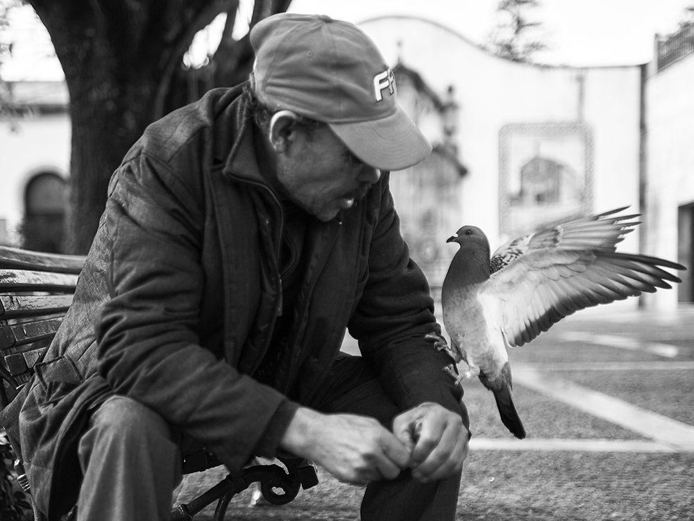 The Dove and a friend