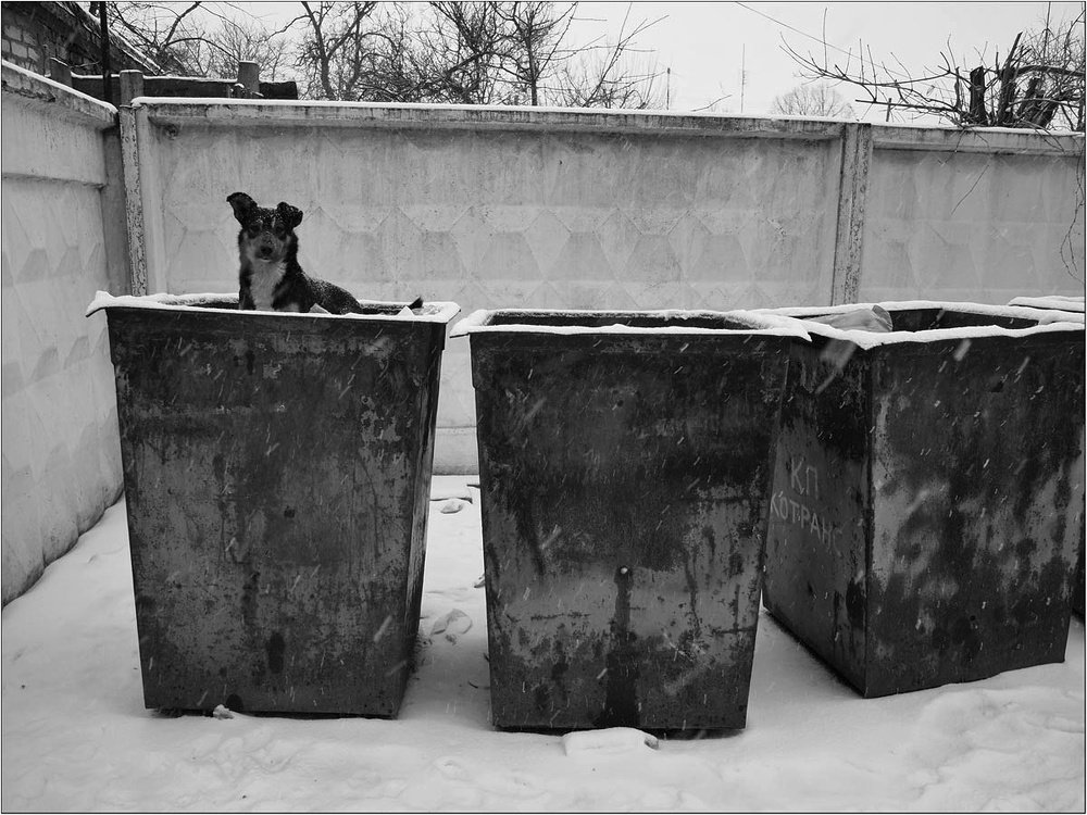 Photograph by Владимир Лищук