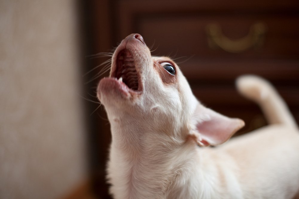 Photograph by Елена Полянская