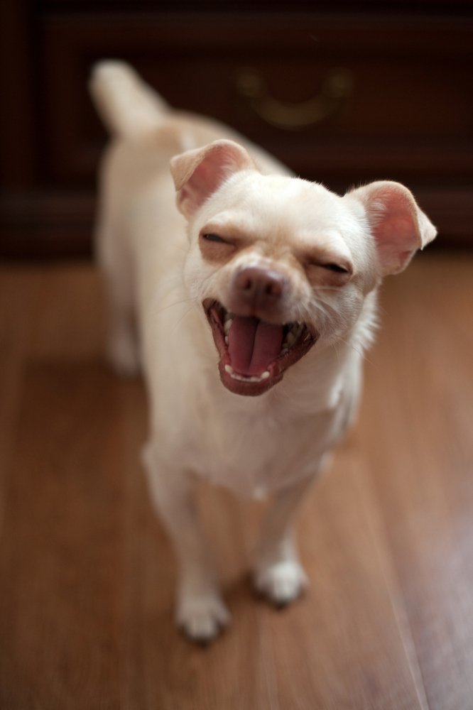 Photograph by Елена Полянская