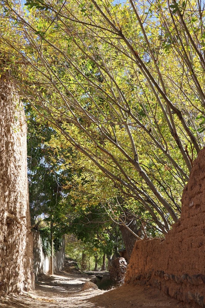 Photograph by Sahar Ghadir