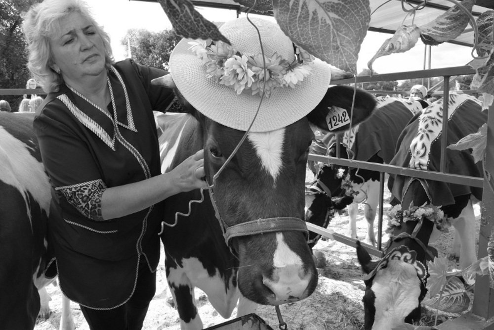 Примерка шляпы