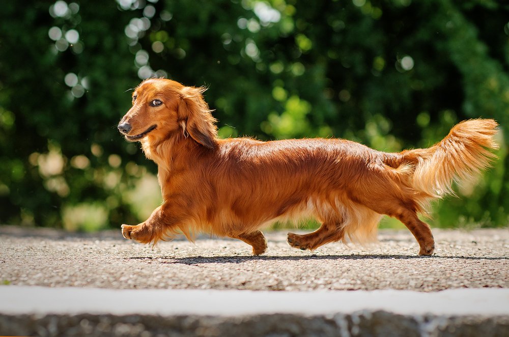 Вы меня фотографируете?