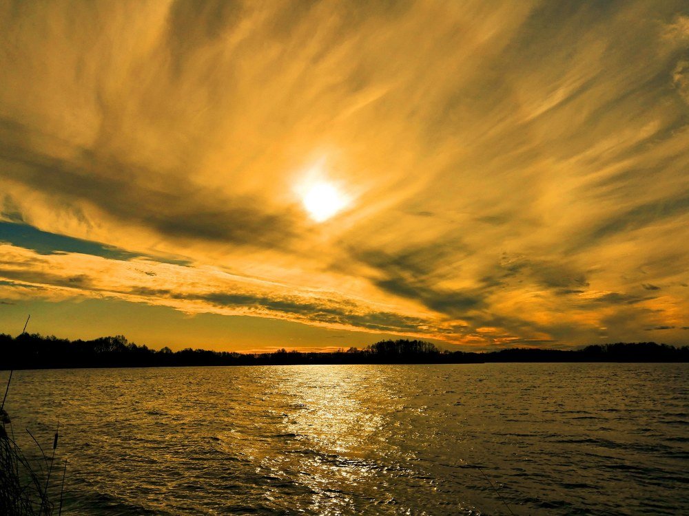 Photograph by Мария Королева