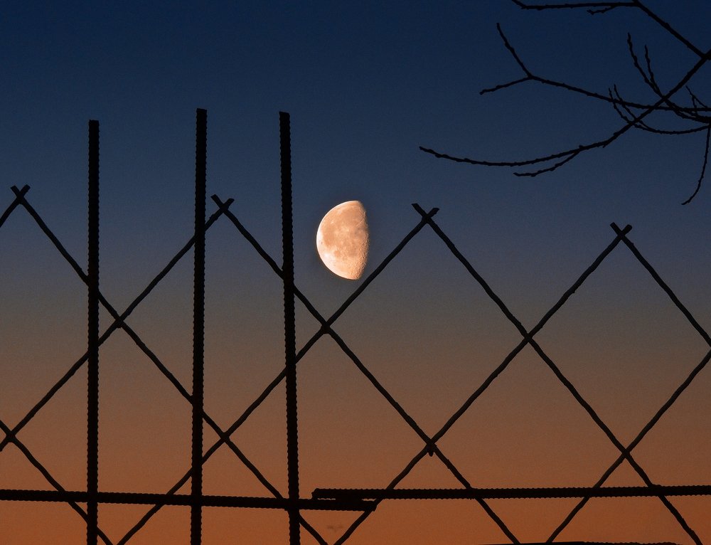 Photograph by Елена Кондратьева