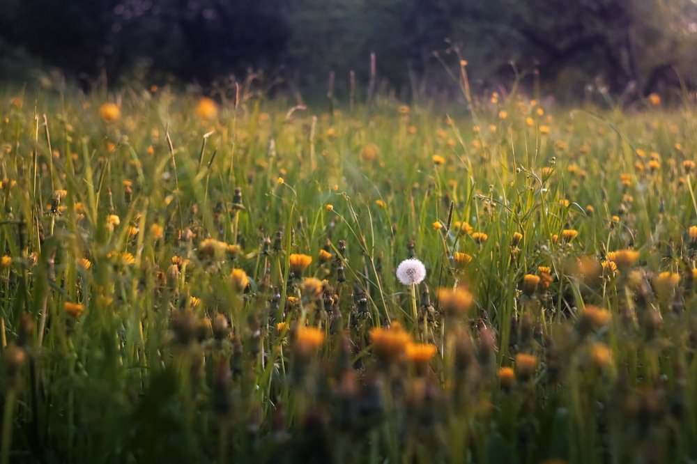 Когда постарел раньше остальных)