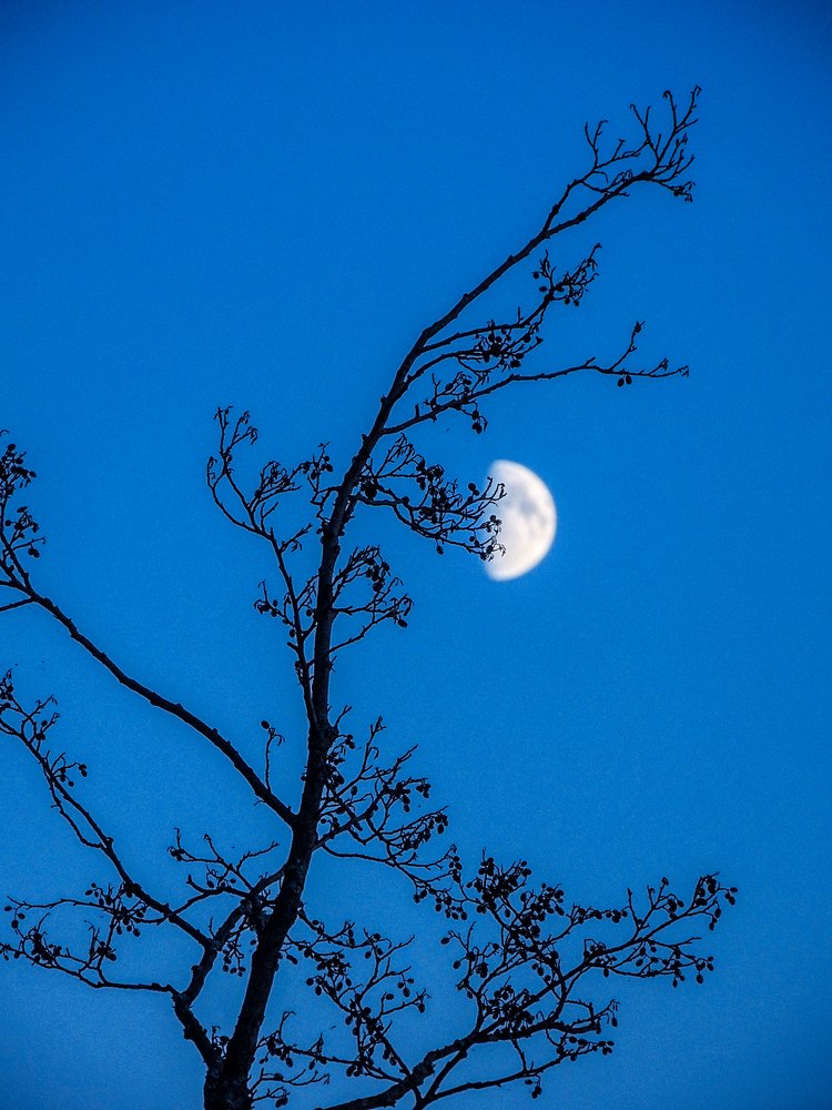 Photograph by Елена Кондратьева