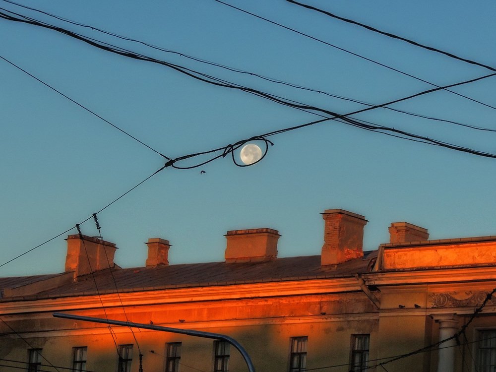 Photograph by Елена Кондратьева