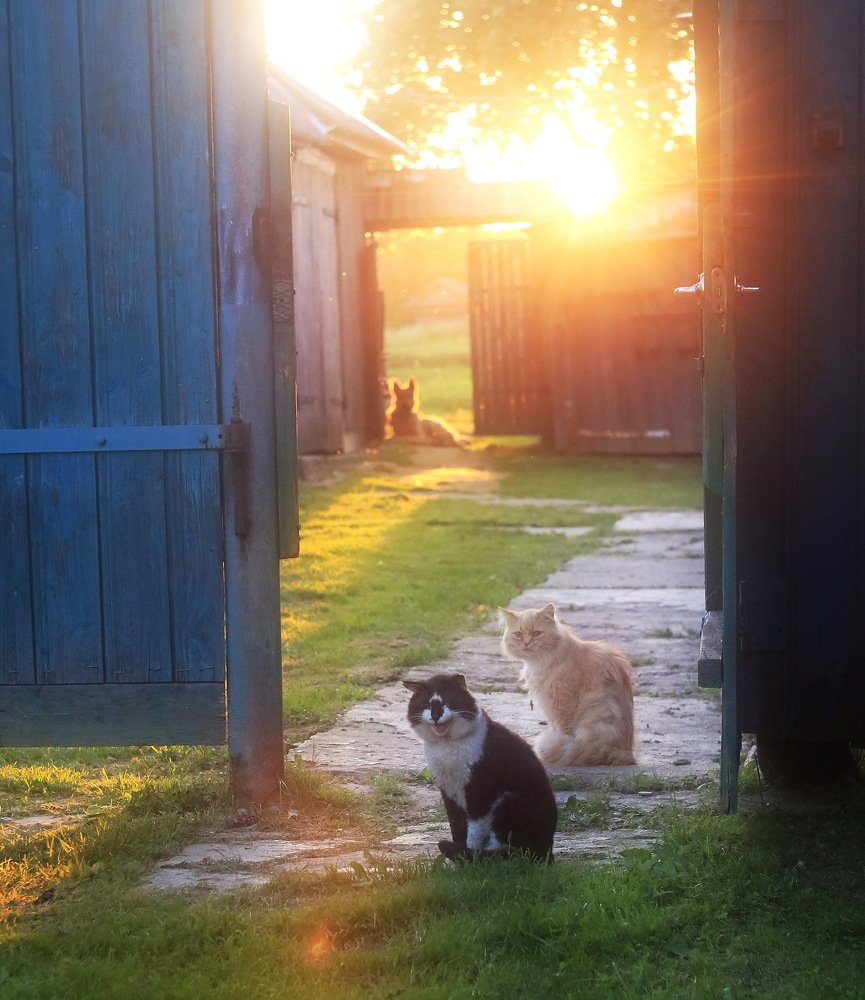 Внимание, улыбочку!)