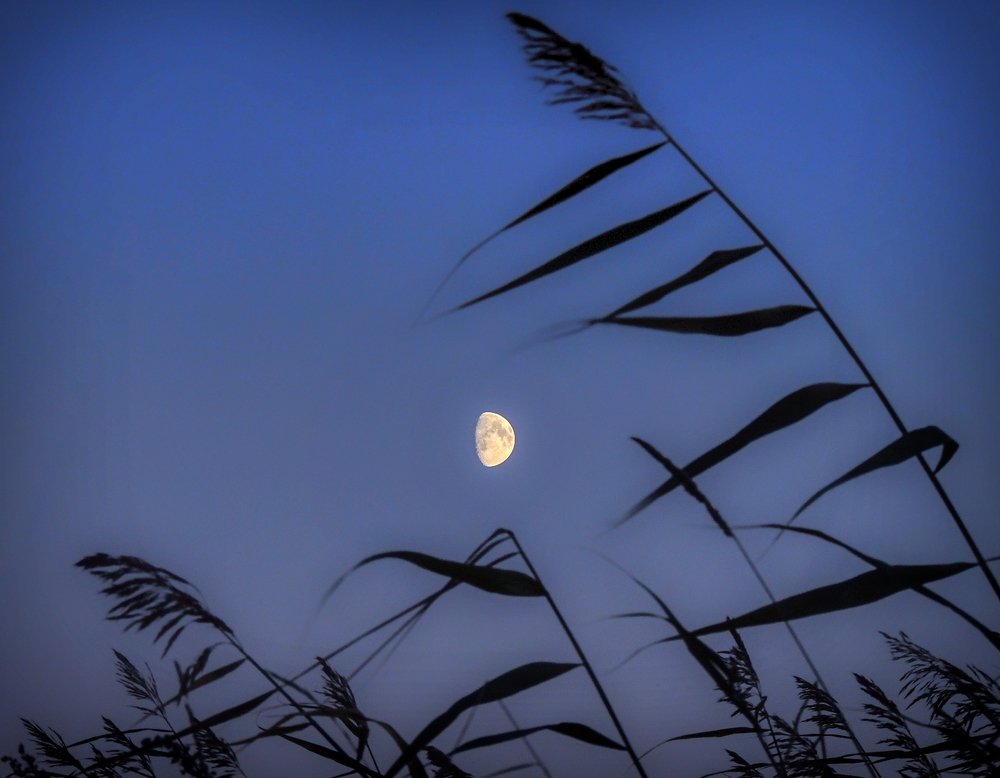 Photograph by Елена Кондратьева