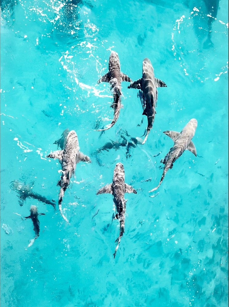 Photograph by Serge Melesan