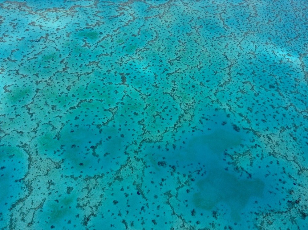 Photograph by Serge Melesan